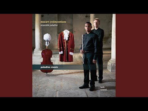 Preview image for the video "Wolfgang Amadeus Mozart: Duos for Violin & Viola (arr. for flute and cello), K 423 & 424 - Eric Lamb & Martin Rummel". Preview image for the video "Wolfgang Amadeus Mozart: Duos for Violin & Viola (arr. for flute and cello), K 423 & 424 - Eric Lamb & Martin Rummel".