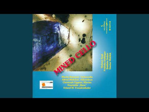 Preview image for the video "Sonata for Cello and Accordion: I. Allegro".